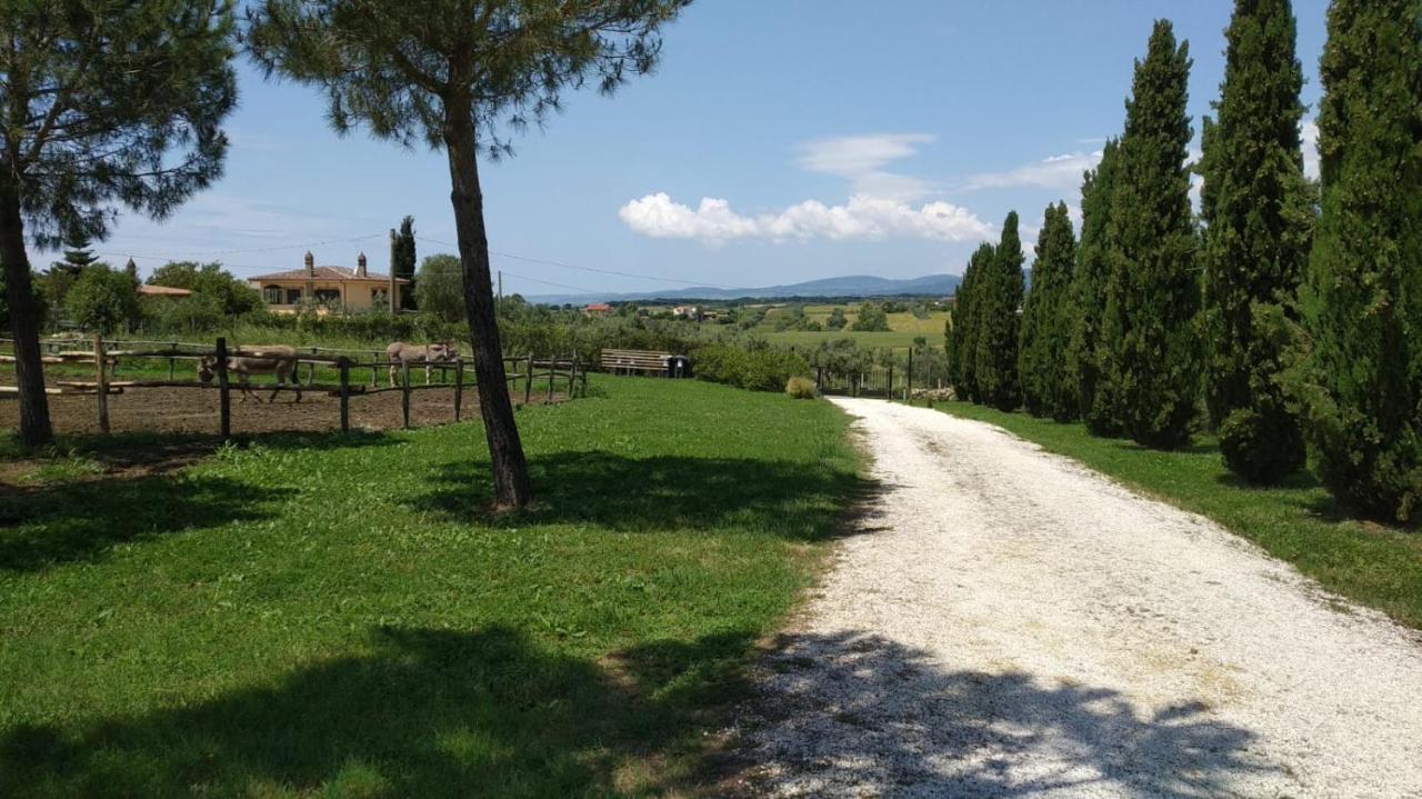 Agriturismo Casale San Benedetto Ceri Εξωτερικό φωτογραφία